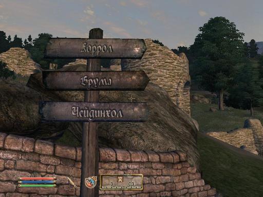 Elder Scrolls IV: Oblivion, The - Дневник имперского гастарбайтера. Том третий.